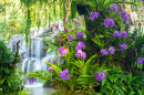 Thai Orchids with a Waterfall
